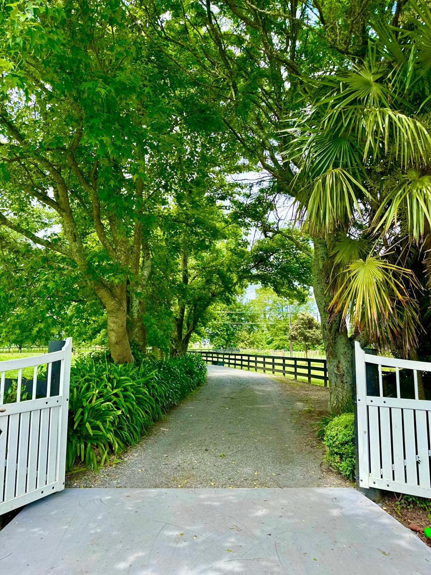 Matamata Country B&B المظهر الخارجي الصورة